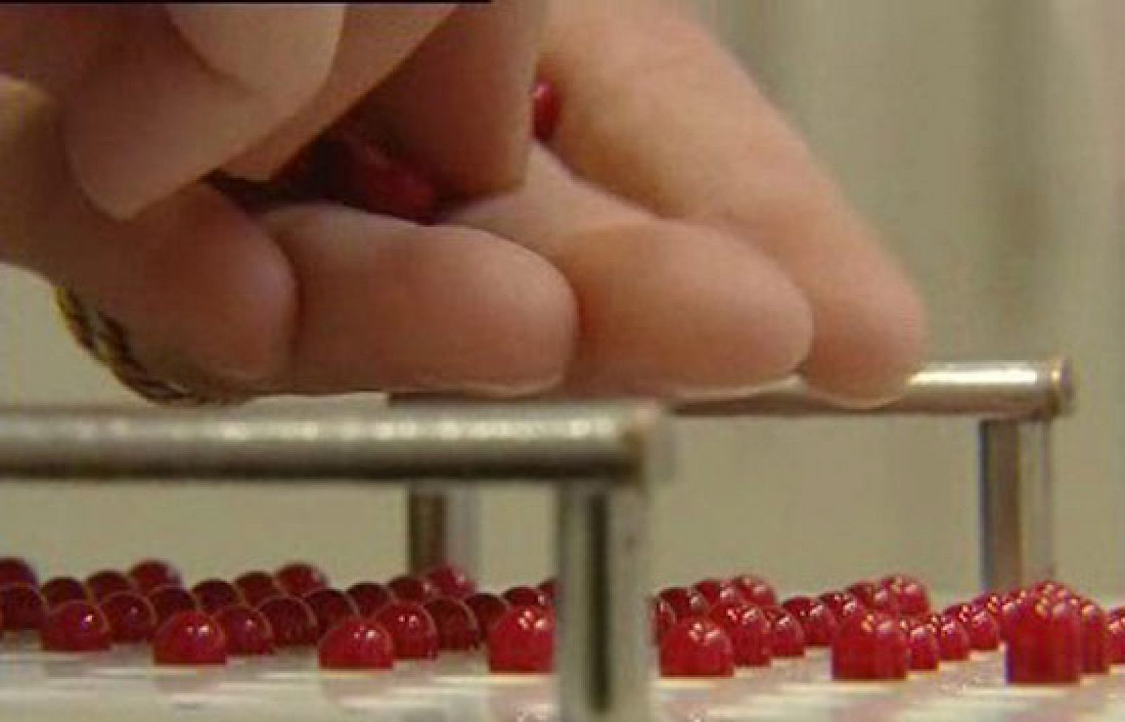 Cámara abierta 2.0 - El blog de nutrición y cosmética Juventud y belleza - Cámara abierta | Ver