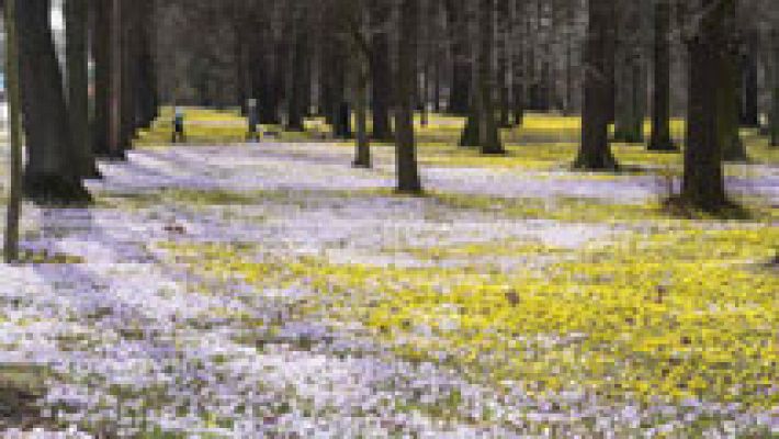Informativo de Madrid - El Tiempo en la Comunidad de Madrid - 07/03/17