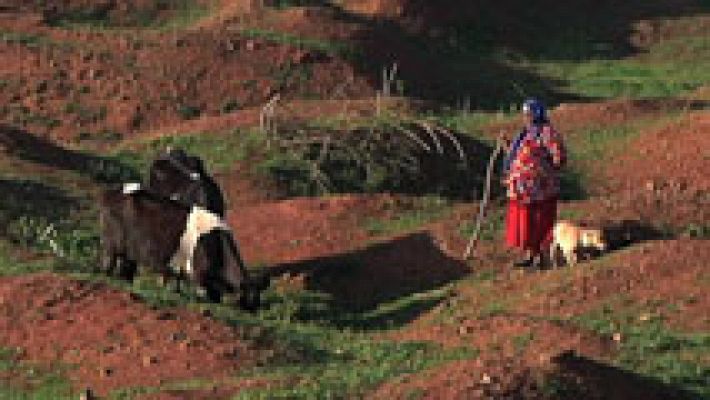 Las mujeres rurales de Marruecos luchan por la igualdad de derechos sobre la tierra trabajada