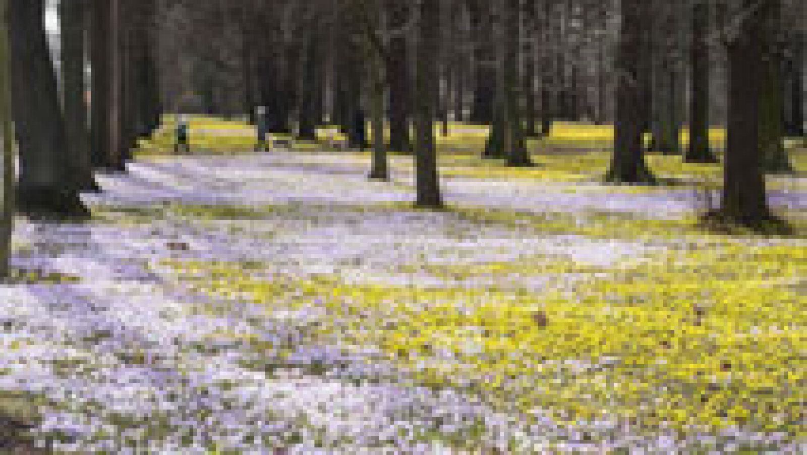 Soleado y ascenso de las temperaturas en casi toda España