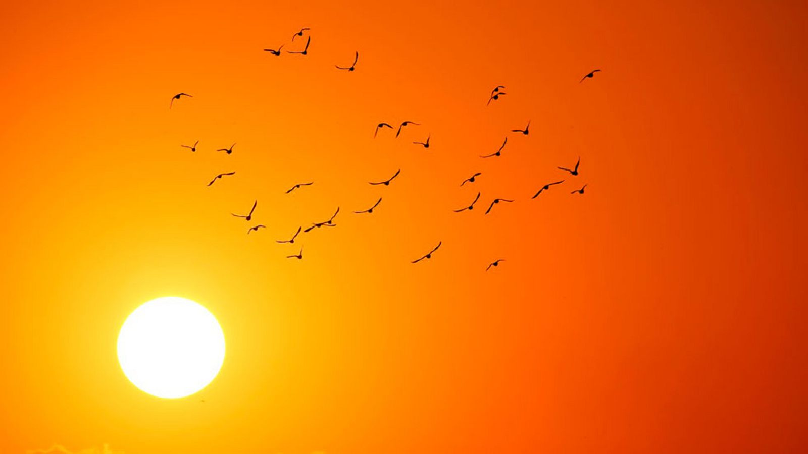 Temperaturas altas en la vertiente atlántica y Canarias