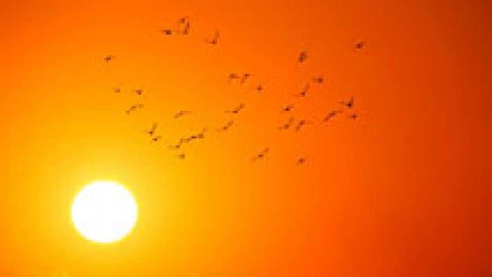 El tiempo - Temperaturas altas en la vertiente atlántica y Canarias