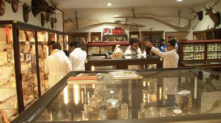 Comando Actualidad - En las entrañas del Monasterio del Escorial