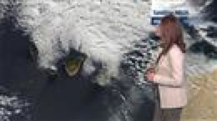 Telecanarias - El tiempo en  Canarias - 08/03/2017