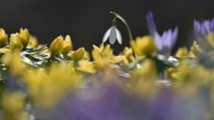 El tiempo - Temperaturas en ascenso en el interior de la Península y Canarias