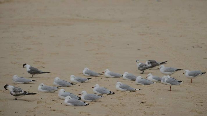 El tiempo - Temperaturas más altas de lo normal, superando los 26 grados en el sur