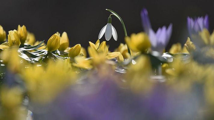 El tiempo - Predominio de tiempo estable y temperaturas altas