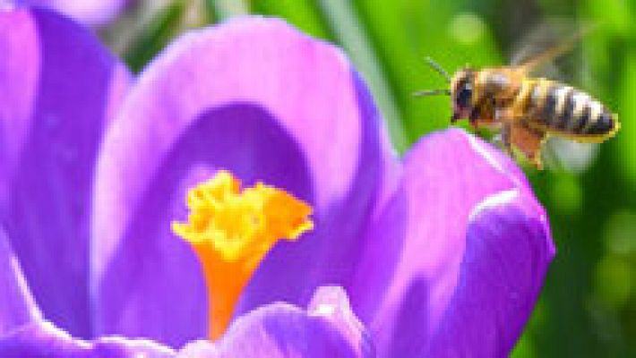 Informativo de Madrid - El Tiempo en la Comunidad de Madrid - 10/03/17