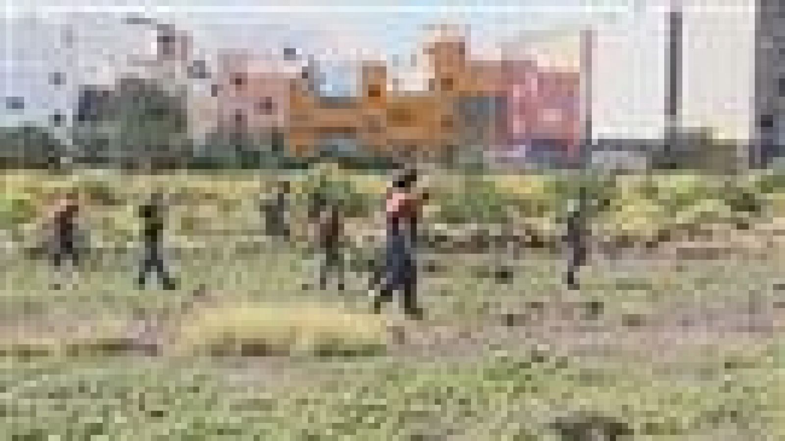 Telecanaria - 10/03/2017