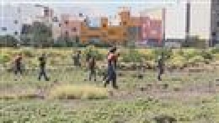 Telecanarias - Telecanarias - 10/03/2017