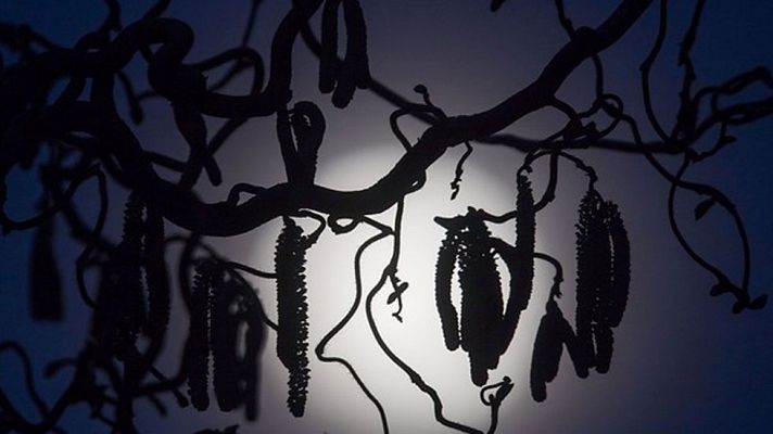 Informativo de Madrid - El Tiempo en la Comunidad de Madrid - 13/03/17