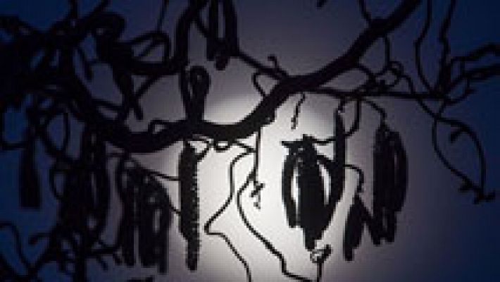 Informativo de Madrid - El Tiempo en la Comunidad de Madrid - 13/03/17