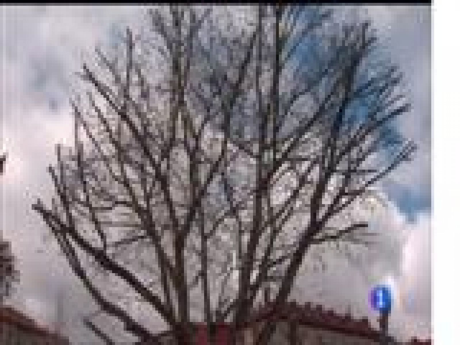 El tiempo en Asturias - 13/03/17 | Ver