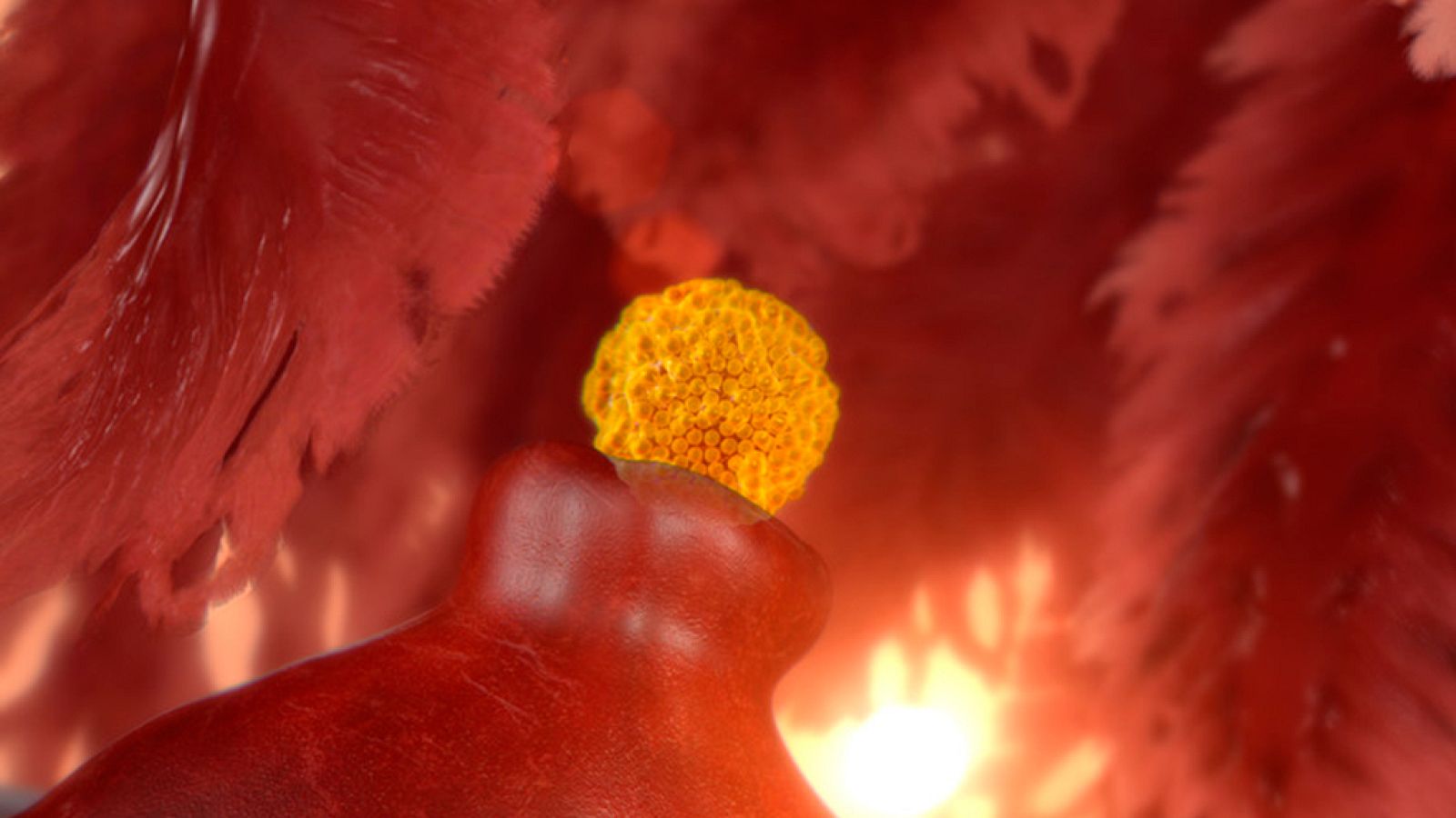 Documenta2 - La vida. El secreto de las células humanas, cap. 1 - ver ahora