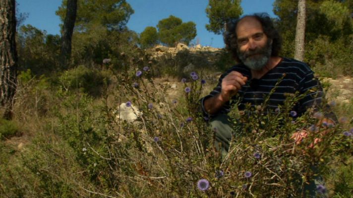 Aquí la Tierra - El reino del señor de los bosques