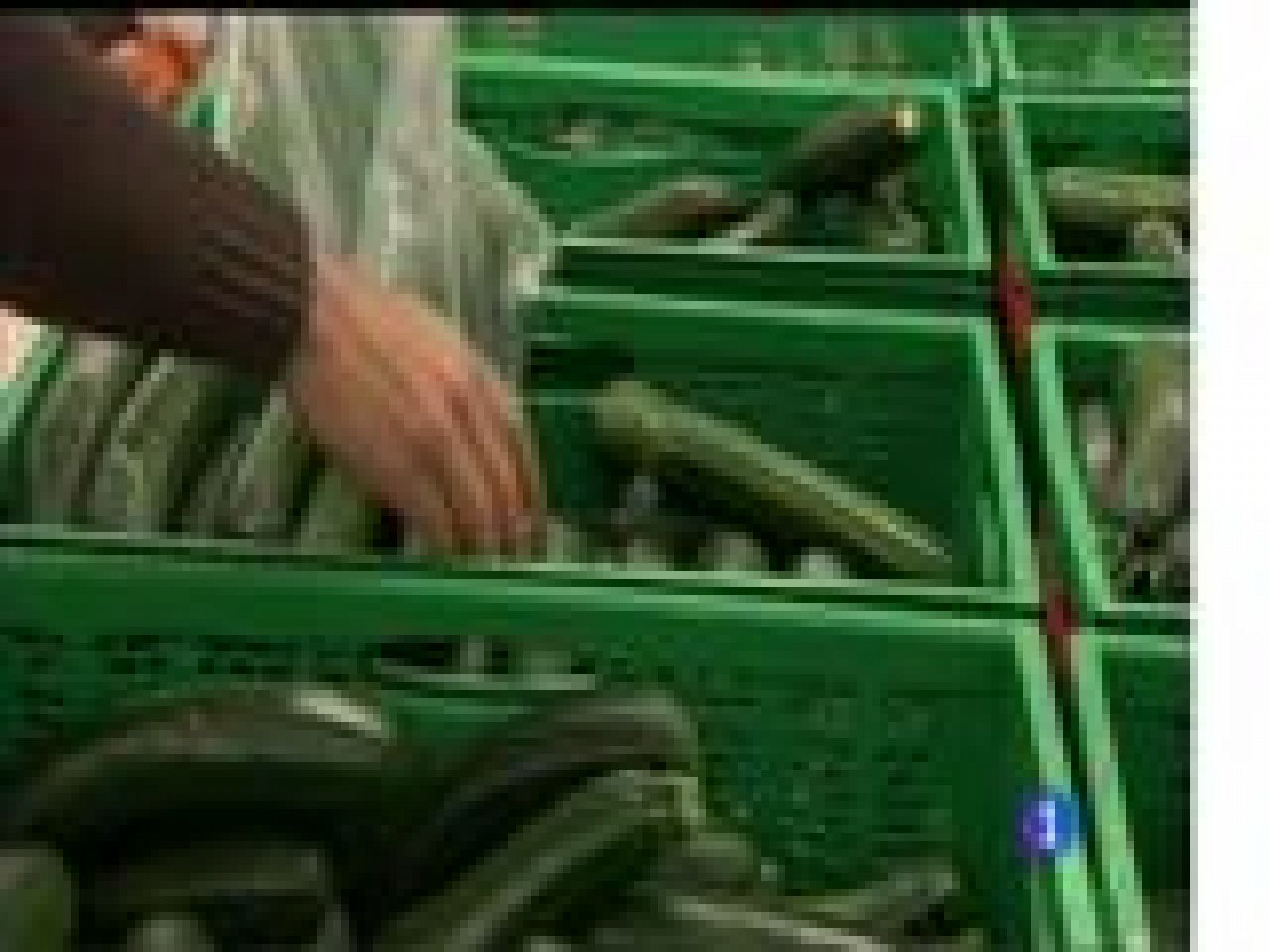 Asturias en 2' - 14/03/17 | Ver