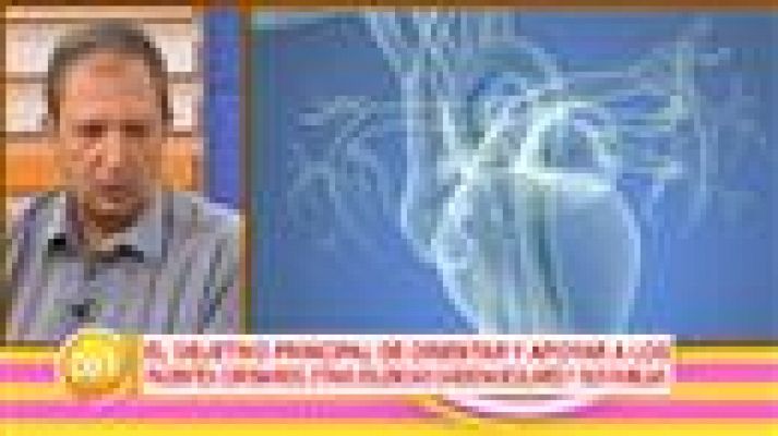 Cerca de ti - Cerca de ti - 14/03/2017