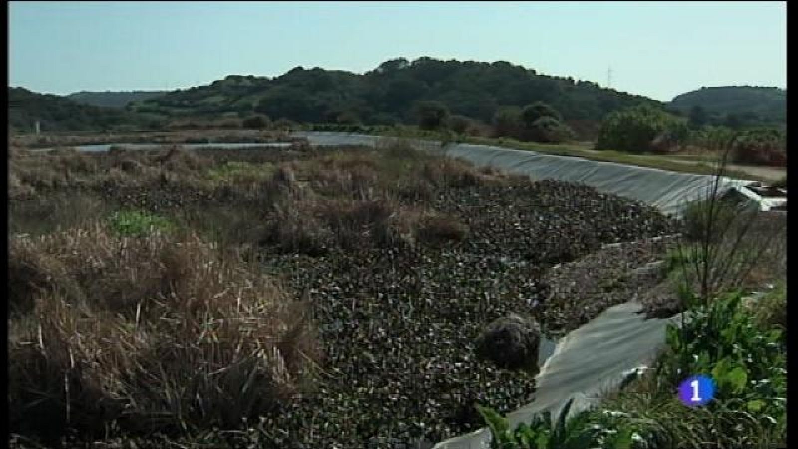 Polèmica pels llots contaminats de Ferreries