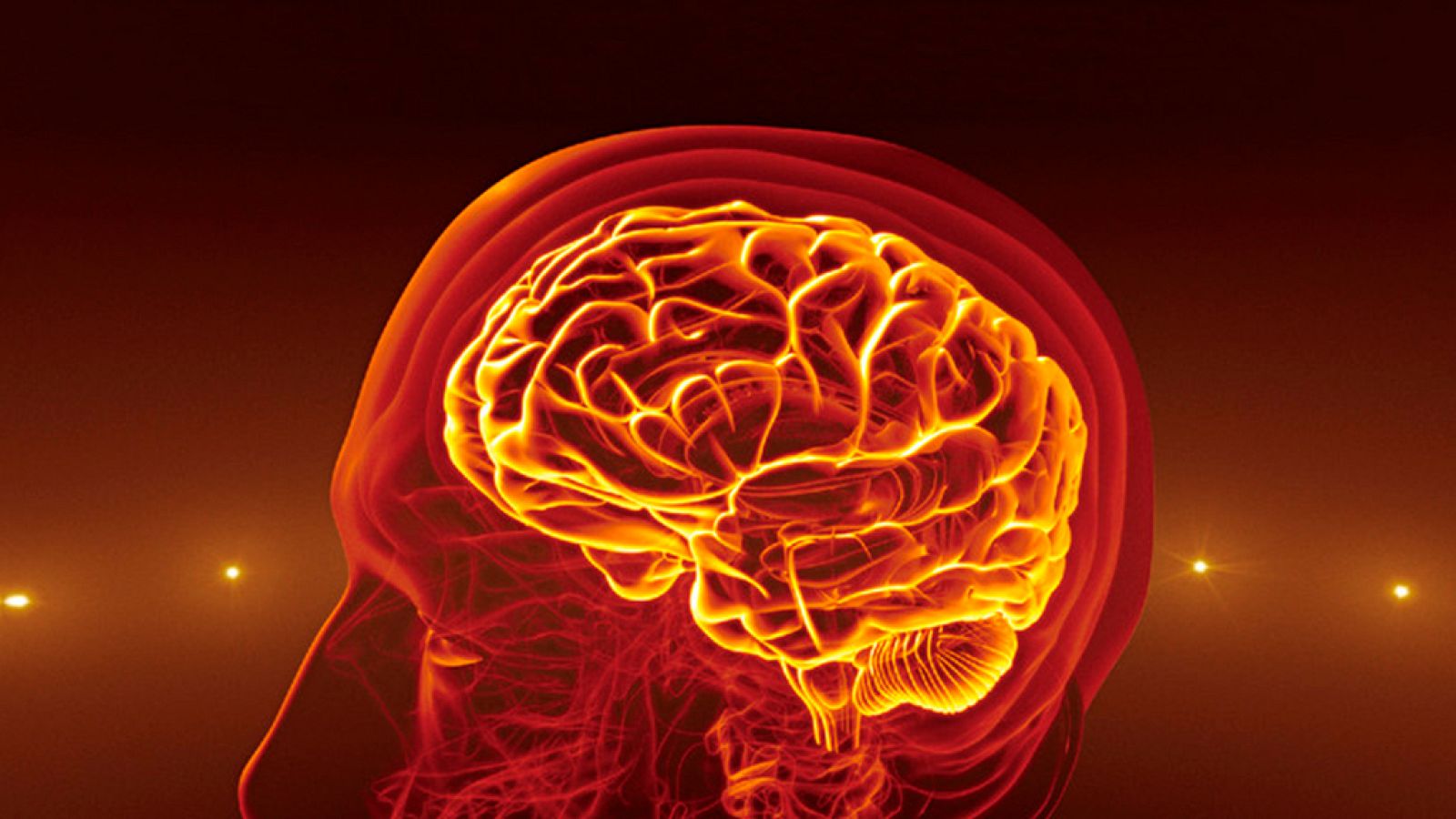 Documenta2 - La vida. El secreto de las células humanas, cap. 2 - ver ahora