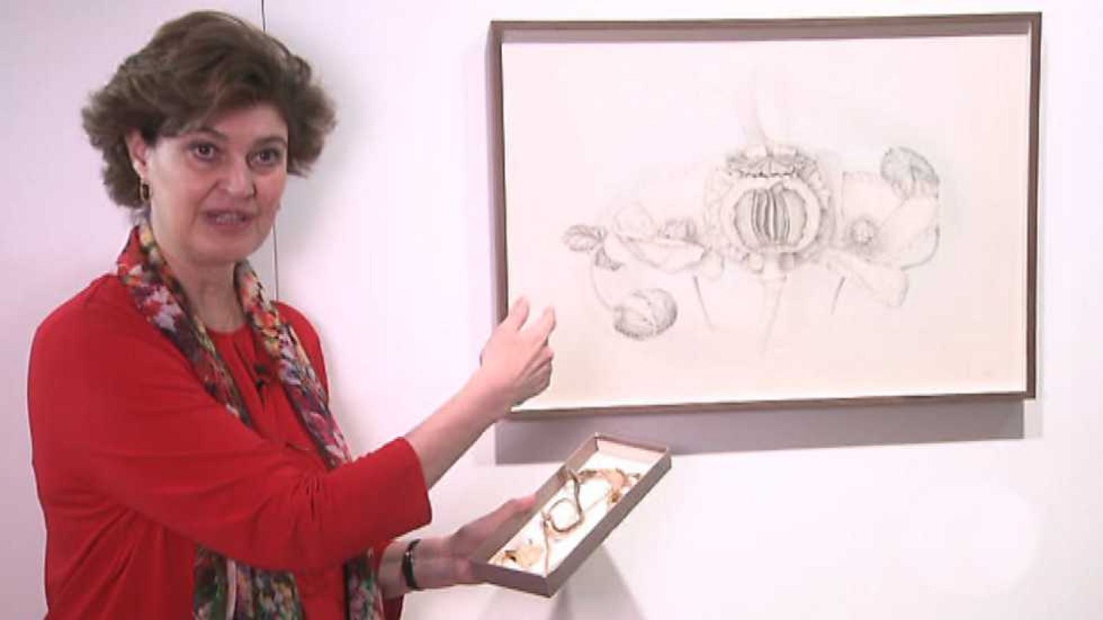 La aventura del saber - 16/03/17 - ver ahora