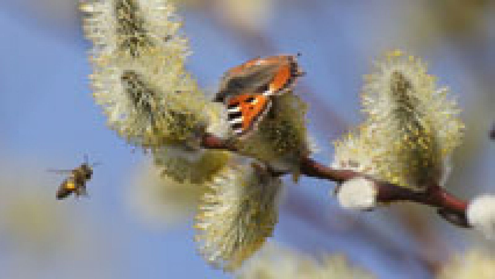 El Tiempo en la Comunidad de Madrid - 16/03/17