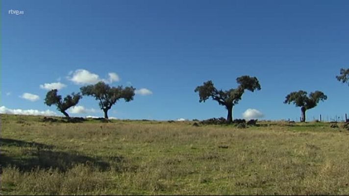  - DATOS DEFINITIVOS DEL CAMPO