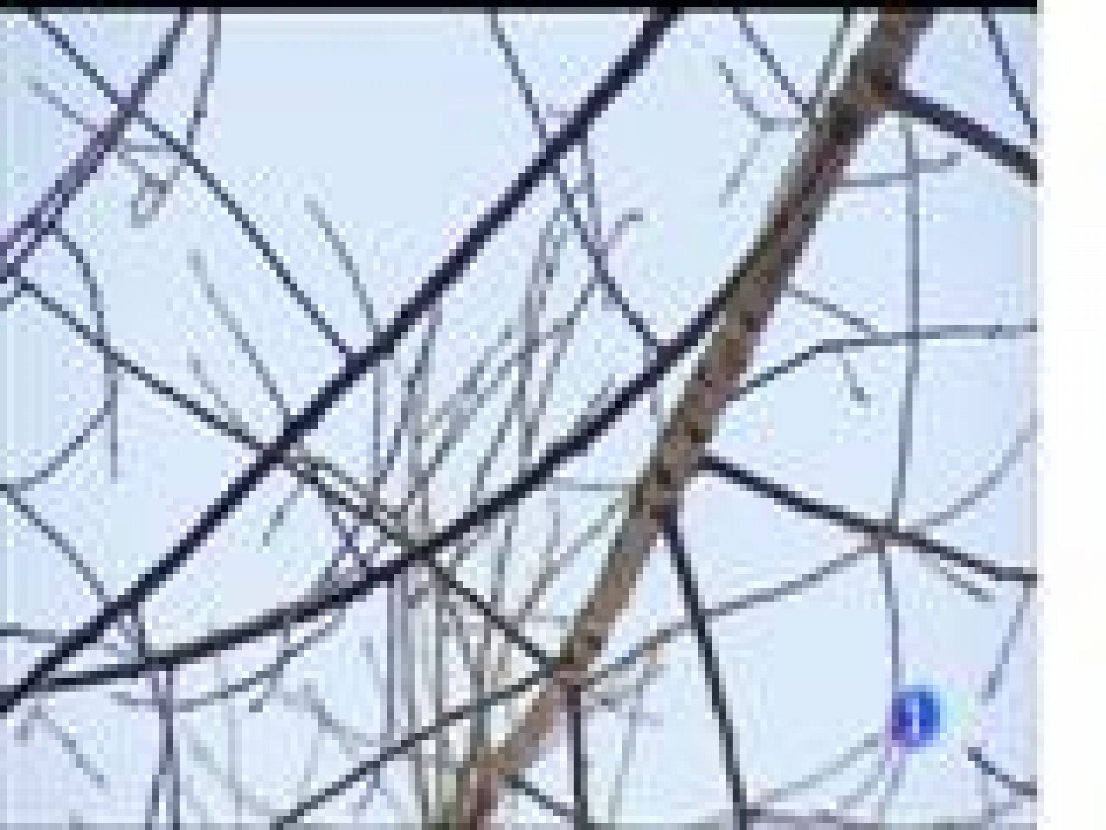 El tiempo en Asturias - 16/03/17 | Ver