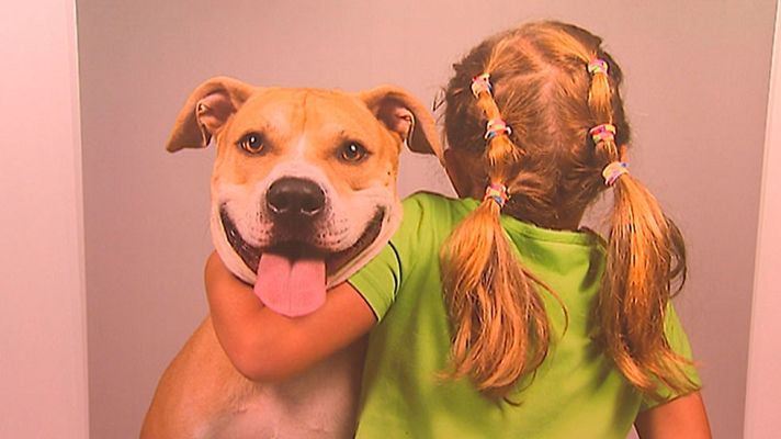 Informativo de Madrid - Informativo de Madrid 2 - 16/03/17