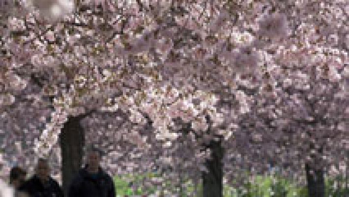 Cielos despejados y variación leve en las temperaturas