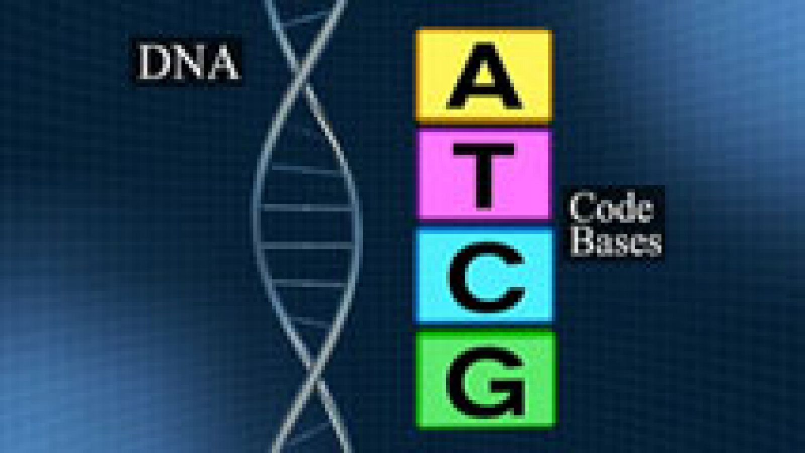 Telediario 1: Científicos norteamericanos han mejorado la capacidad de almacenar datos en nuevos soportes | RTVE Play