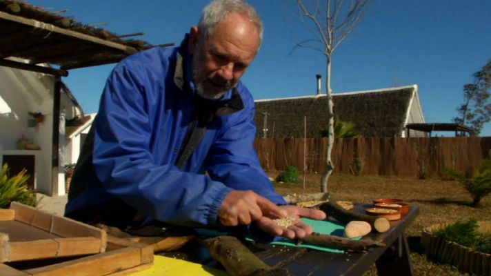 Aquí la Tierra - El arroz más caro del mundo