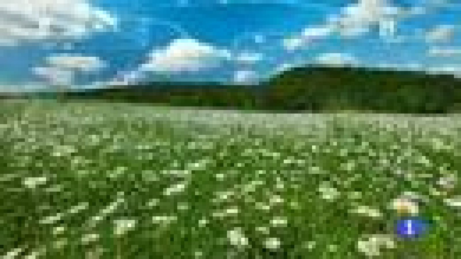 El tiempo en la Region de Murcia - 20/03/2017