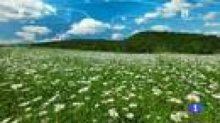 Noticias Murcia - El tiempo en la Region de Murcia - 20/03/2017