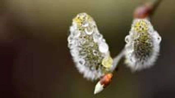 El tiempo - Progresiva bajada de los termómetros a lo largo de la semana