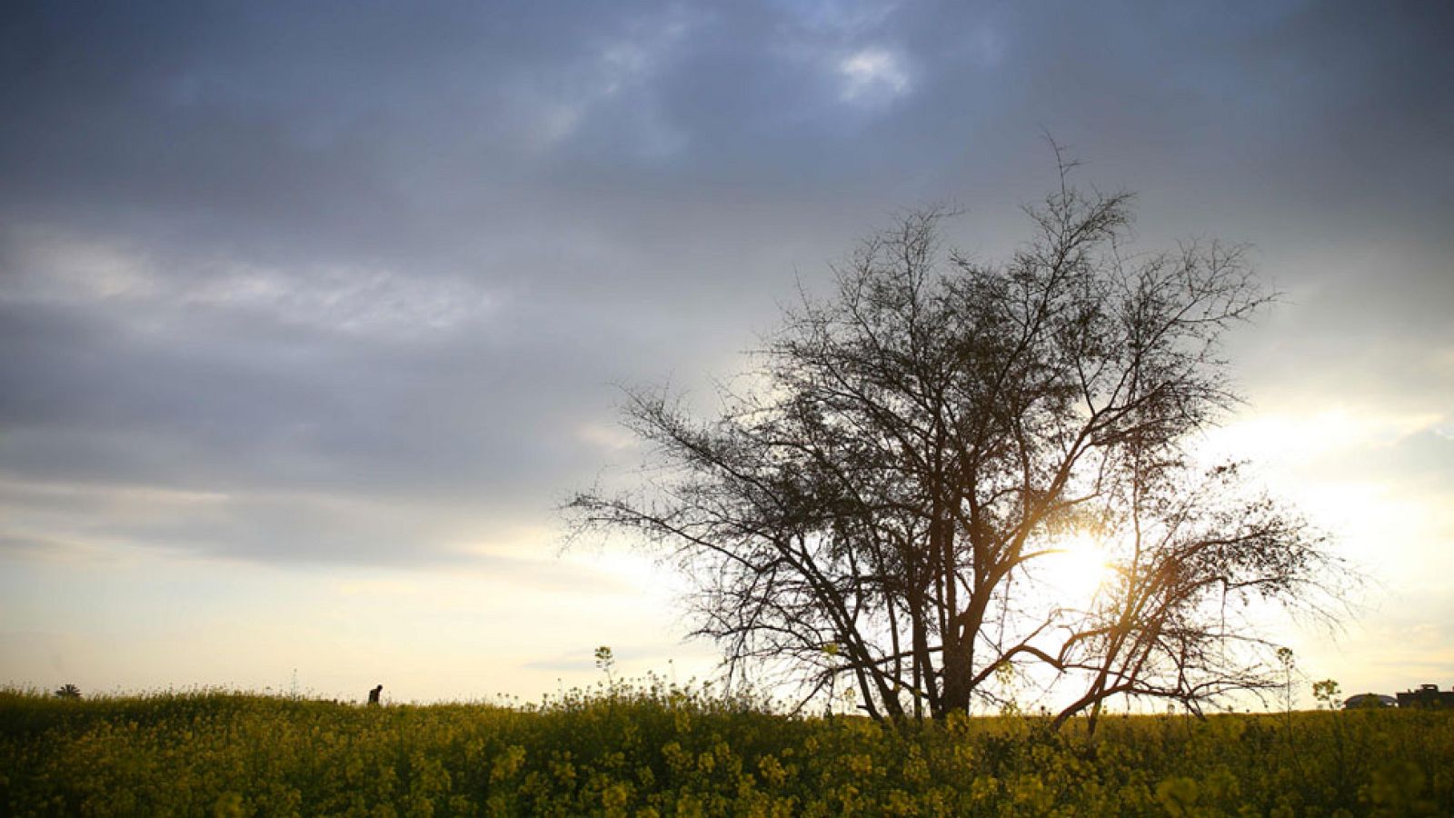 El Tiempo en la Comunidad de Madrid - 21/03/17