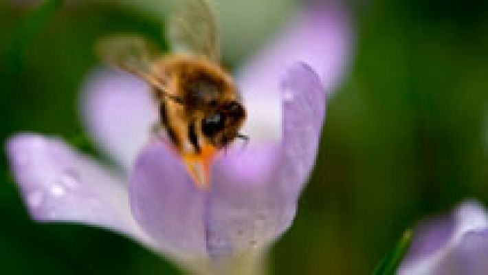 El tiempo - Descenso notable de las temperaturas en el centro