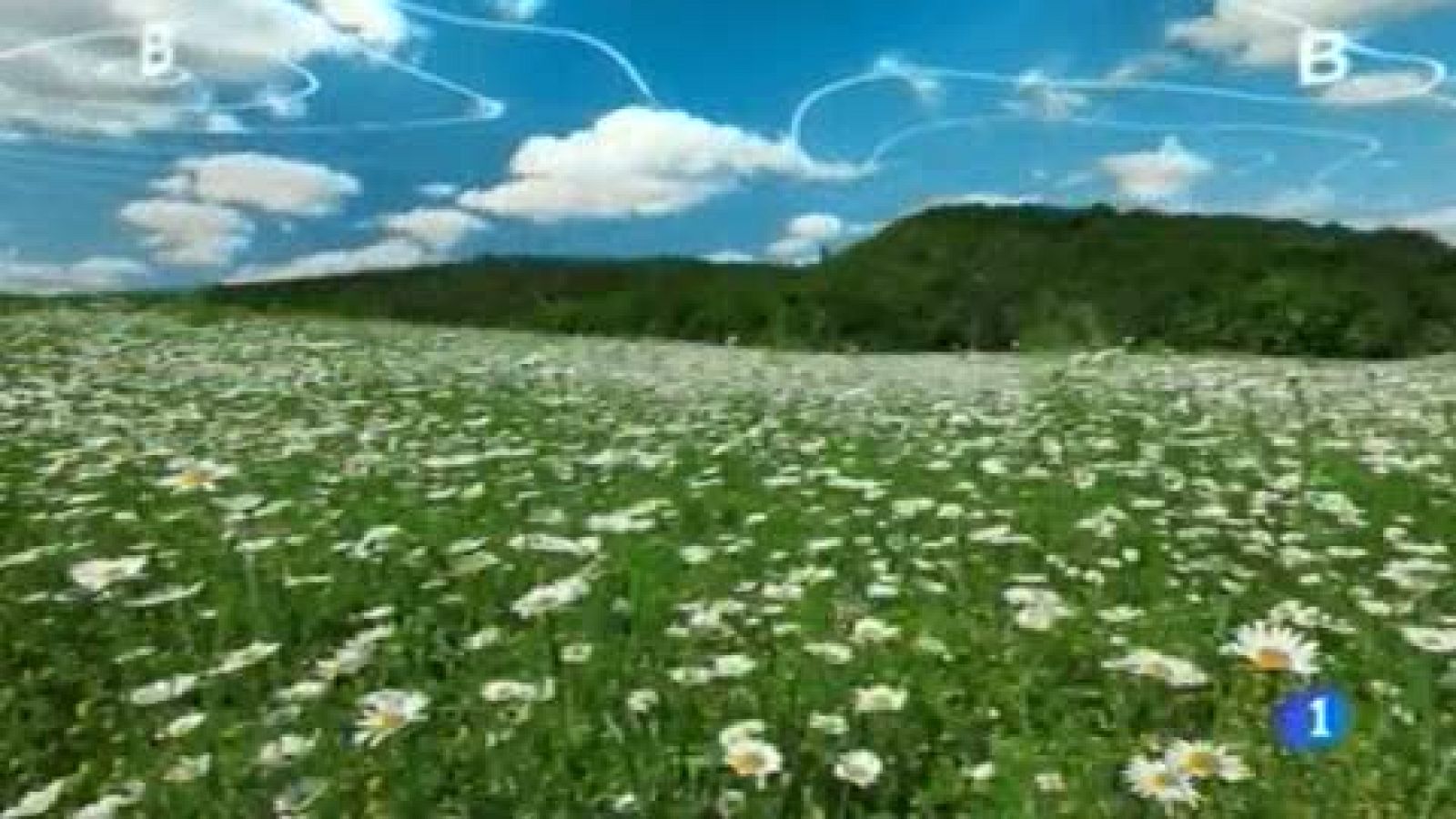 El tiempo en el País Vasco - 21/03/17