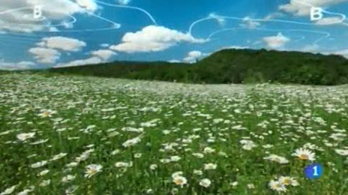 Telenorte - País Vasco - El tiempo en el País Vasco - 21/03/17