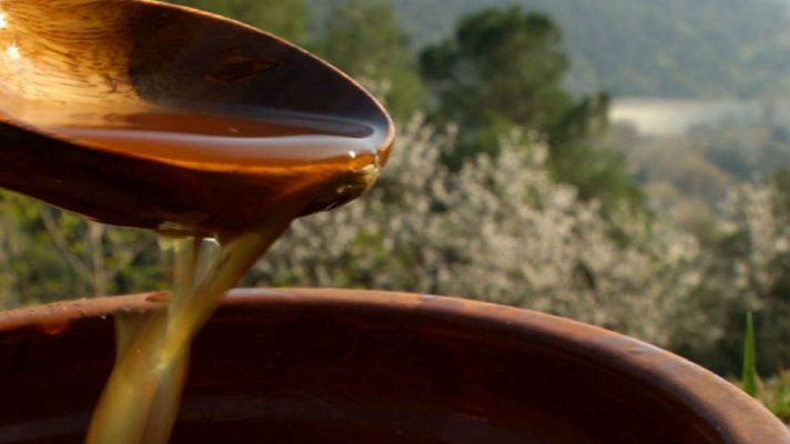 Aquí la Tierra - ¿Qué es la hidromiel?