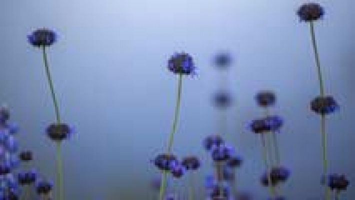 El tiempo - 13 provincias en riesgo por nieve y oleaje