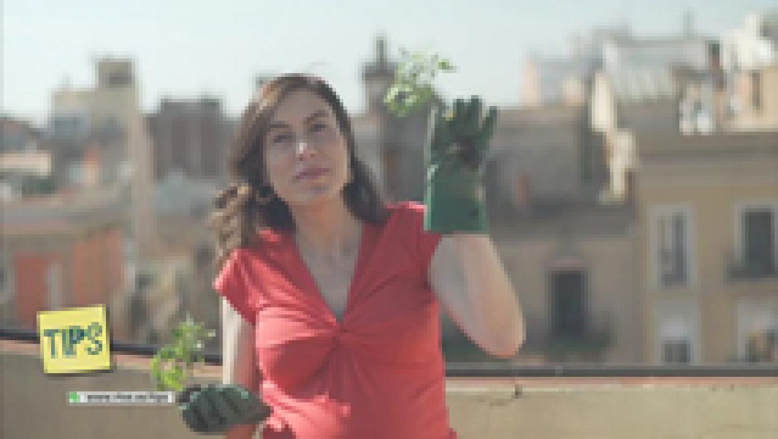 Tips: Horticultura urbana | RTVE Play