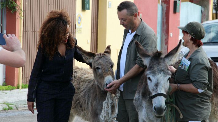 Aquí la Tierra - Unos bomberos muy especiales