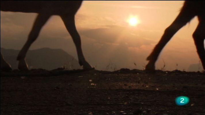 La aventura del Saber - Versión completa de  la serie Memoria del Camino (Medelca)