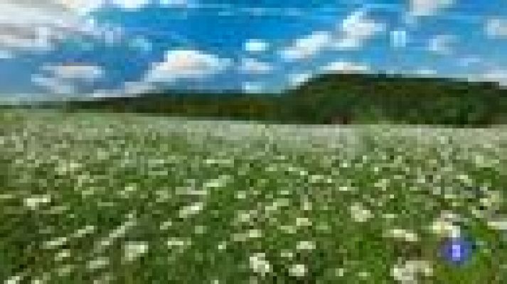 TeleCantabria - El tiempo en Cantabria - 23/03/17