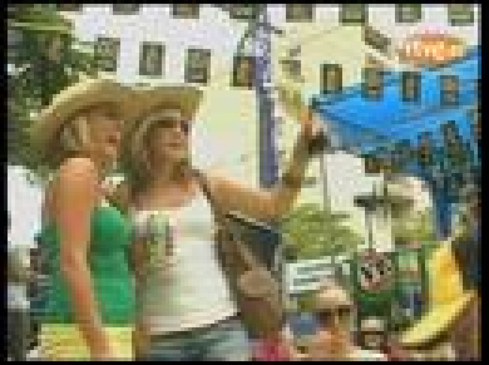 En Australia se celebra un evento muy particular: carreras de cucarachas.