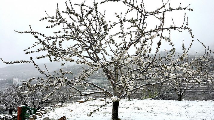 Telediario 1 - La nieve sorprende en el comienzo de la primavera