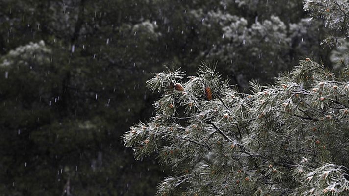 Informativo de Madrid - Informativo de Madrid - 24/03/17