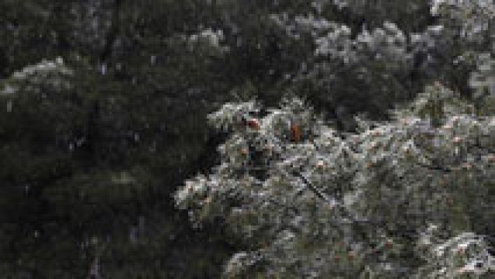 Informativo de Madrid - Informativo de Madrid - 24/03/17