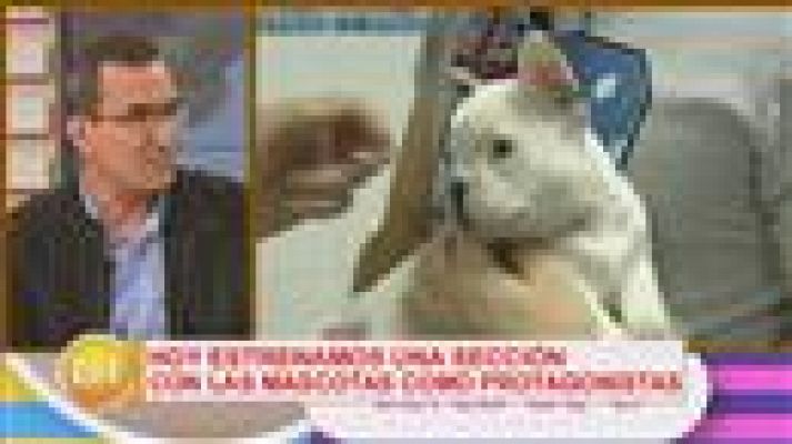 Cerca de ti - Cerca de ti - 24/03/2017