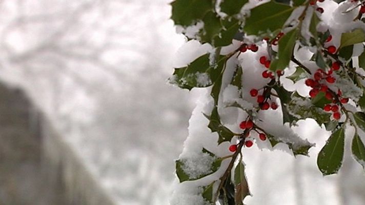 El frío y la nieve predominan en la península